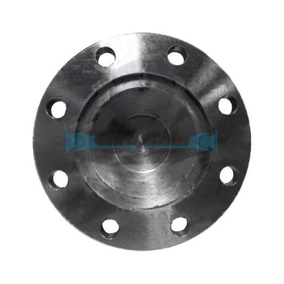 PLATO CARDAN S.1410 DIN 120x8x10.1