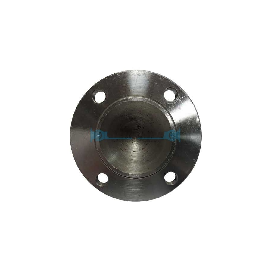 MACHOIRE A BRIDE S.1480 FITTING 1410 SAE 130x4x11,2