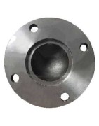 DIN Flange yokes