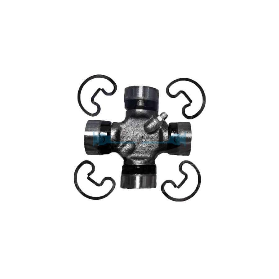 CRUZ 27x74,6 E/L. Standard. (S.1300)